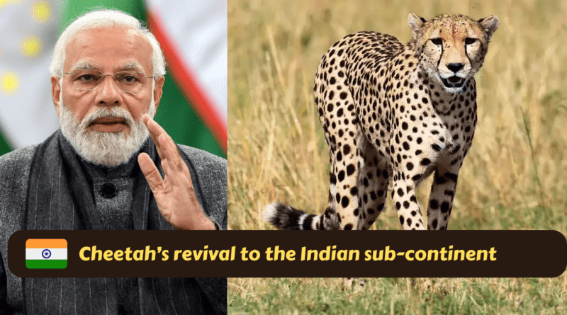 Lost and Found- Cheetah’s revival to the Indian sub-continent, but at the Cost of What?